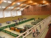 tischtennis-turnier-langfoerden-2011-3