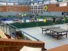 goldener-schlaeger-von-schledehausen-tischtennis-2013-005